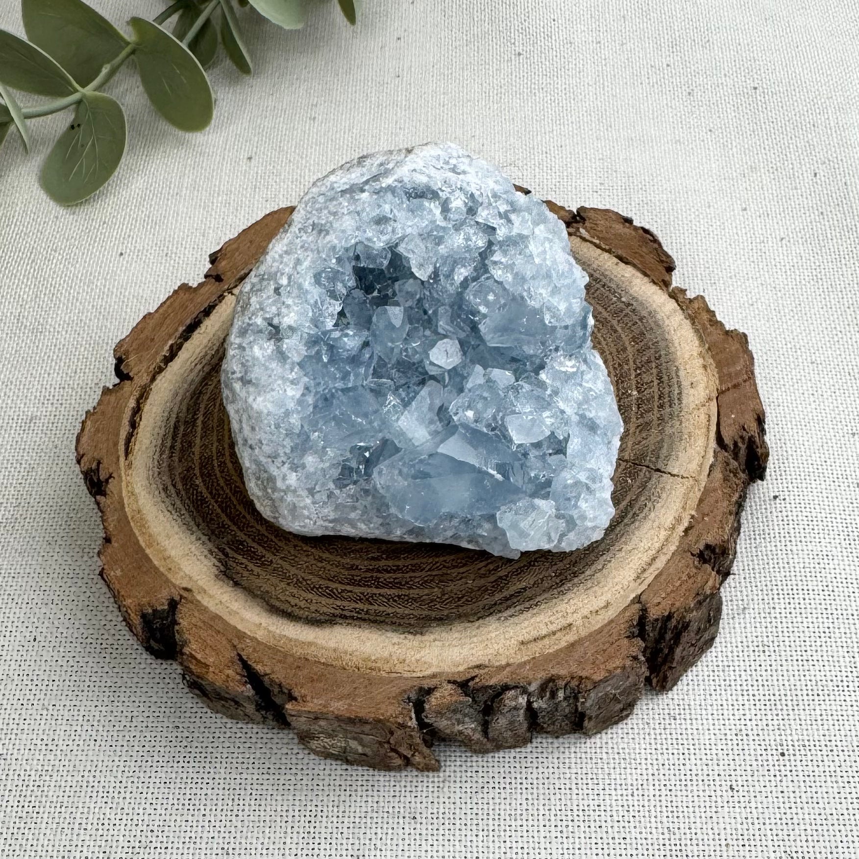 CÉLESTINE - AA+ - Madagascar - Géode