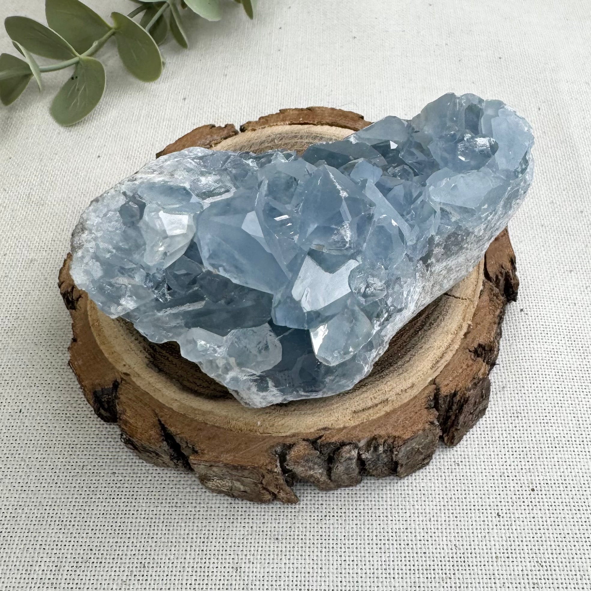 CÉLESTINE - AA+ - Madagascar - Géode