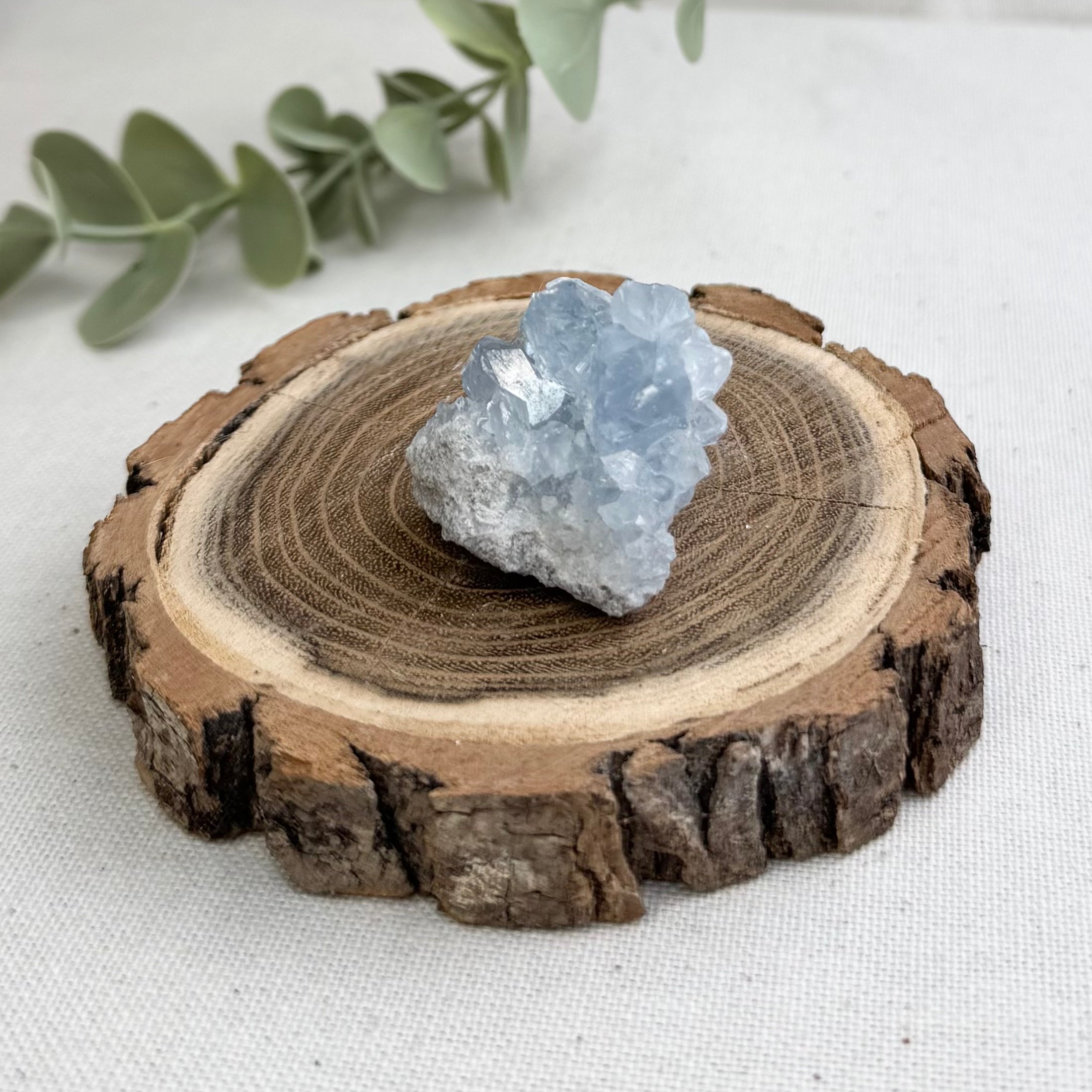 CÉLESTINE - AA+ - Madagascar - Géode