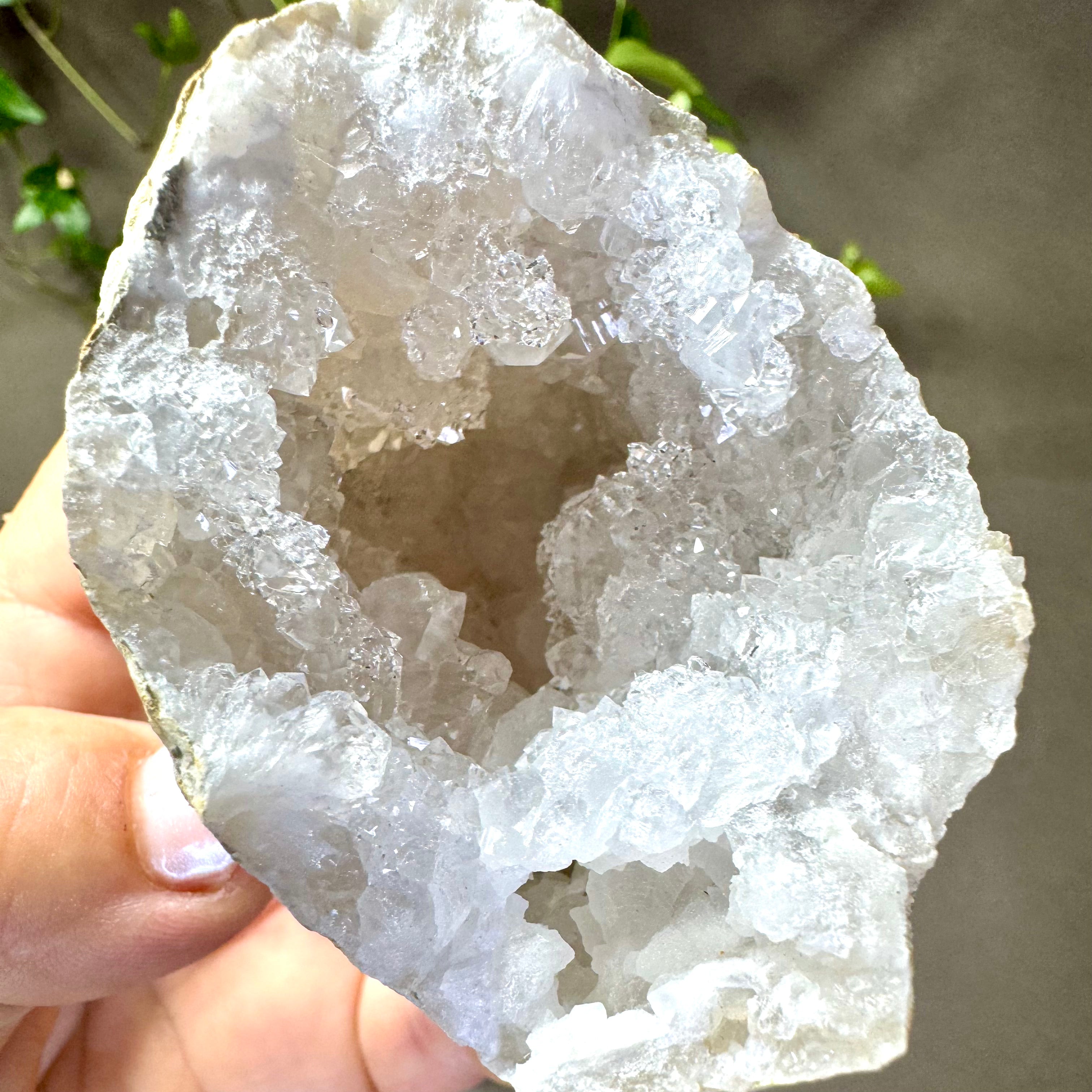 MINI GÉODE CRISTAL DE ROCHE - AAA - Maroc - GÉODE entière