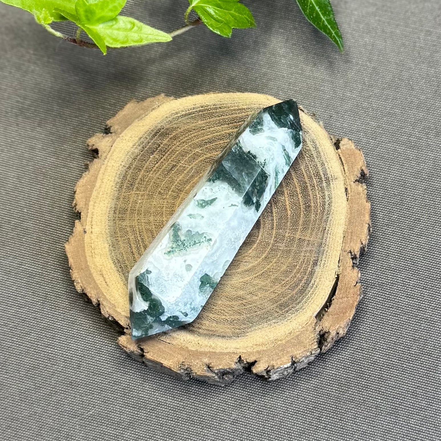 AGATE ARBRE - Pointe Biterminée