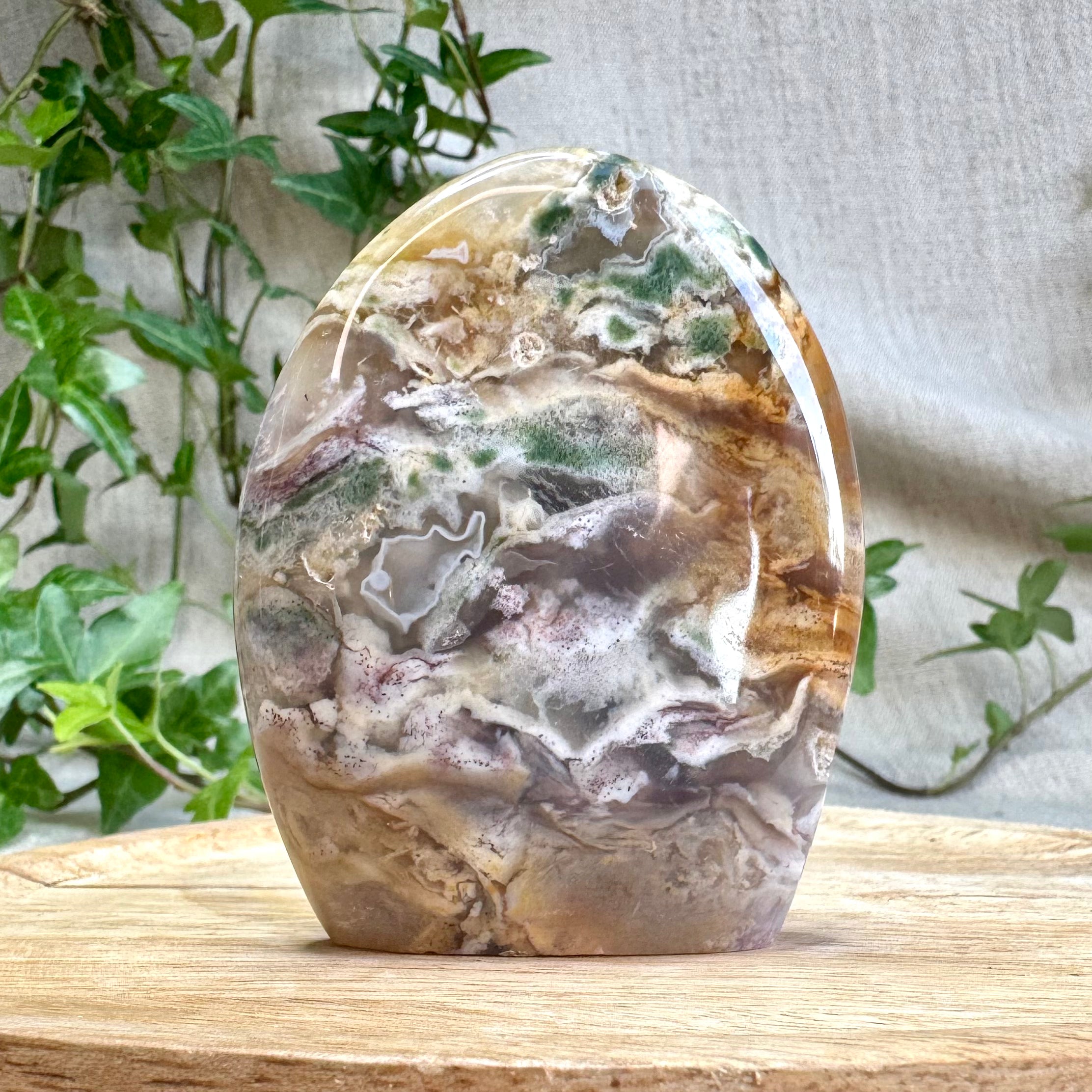 JASPE OCÉAN - AA+ - Madagascar