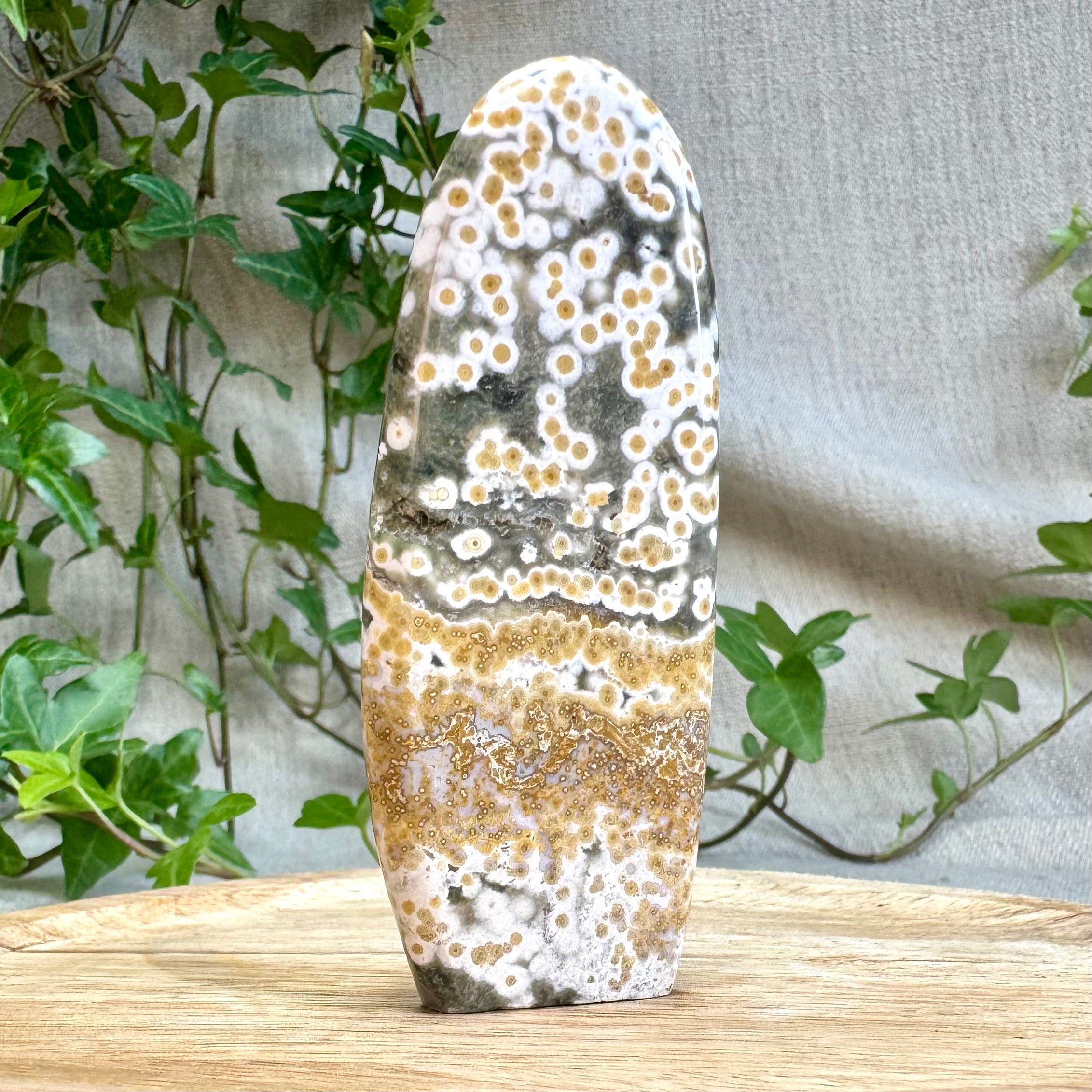 JASPE ORBICULAIRE - AA+ - Madagascar