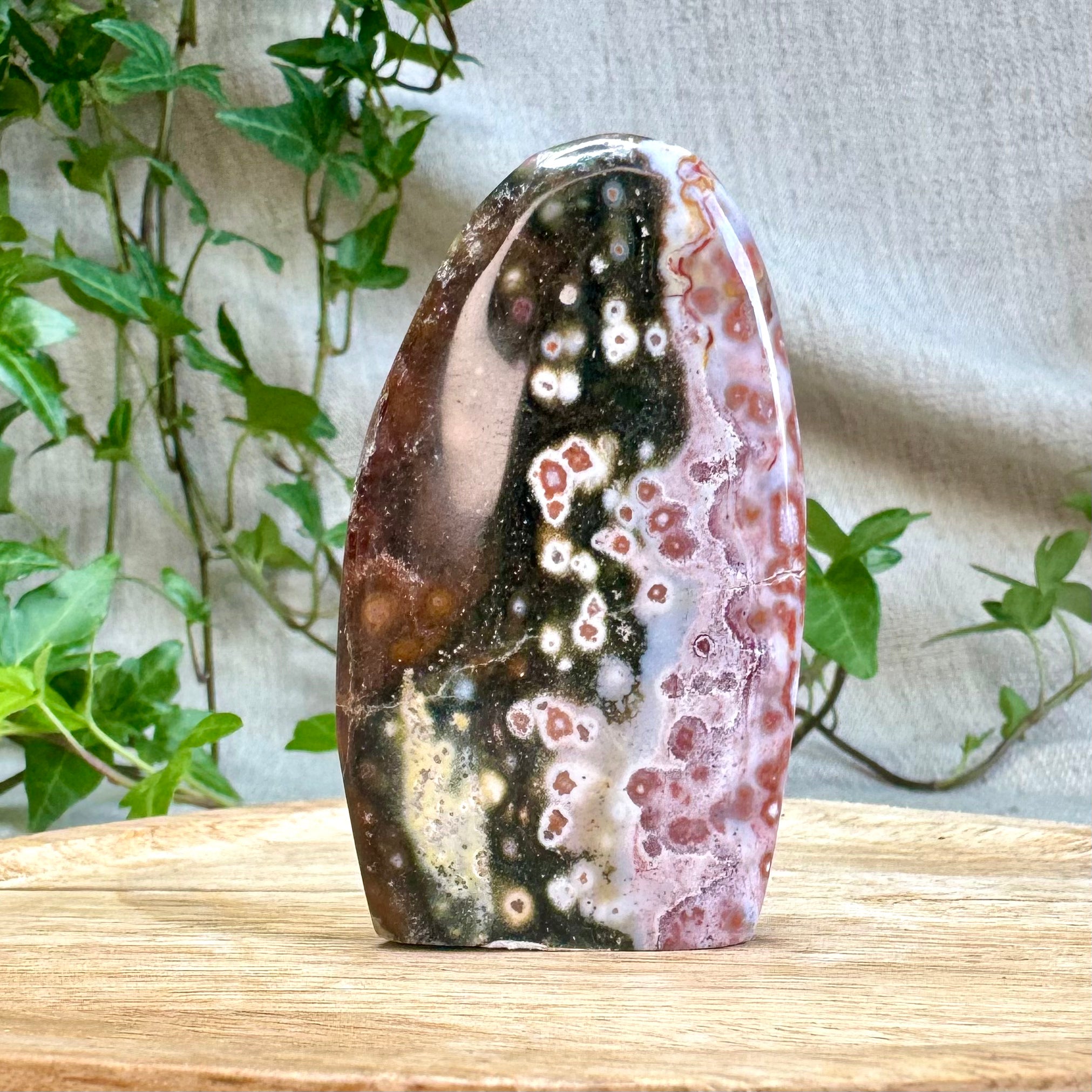 JASPE ORBICULAIRE - AA+ - Madagascar