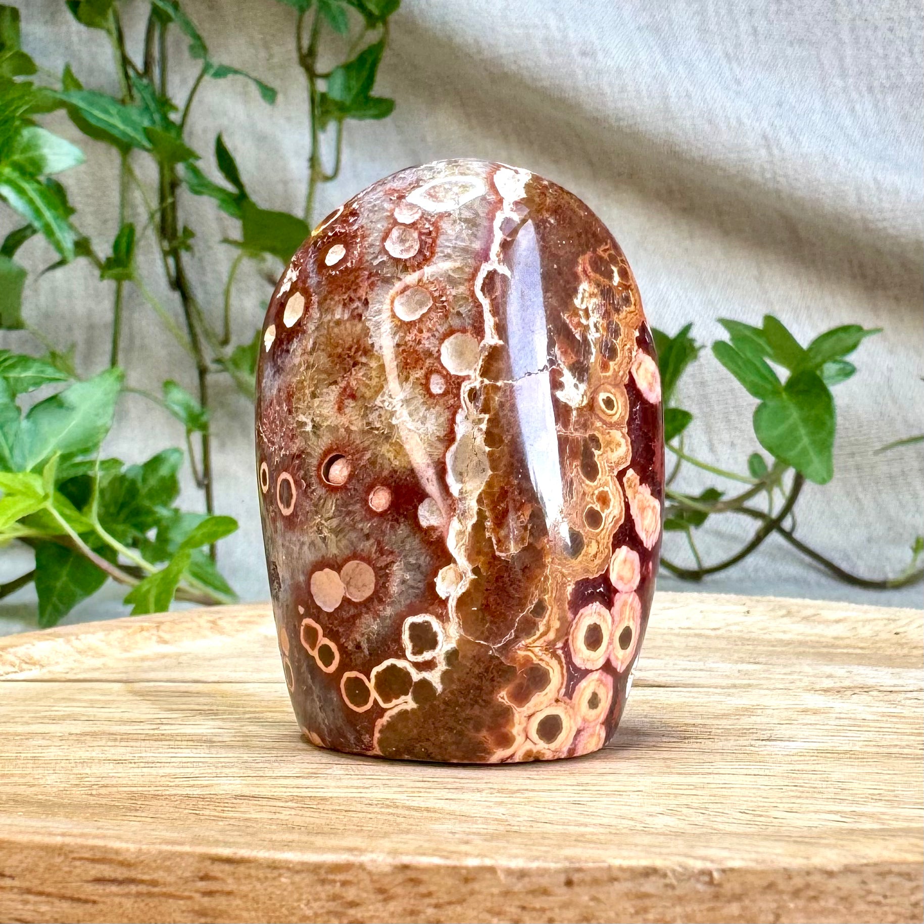 JASPE ORBICULAIRE - AA+ - Madagascar