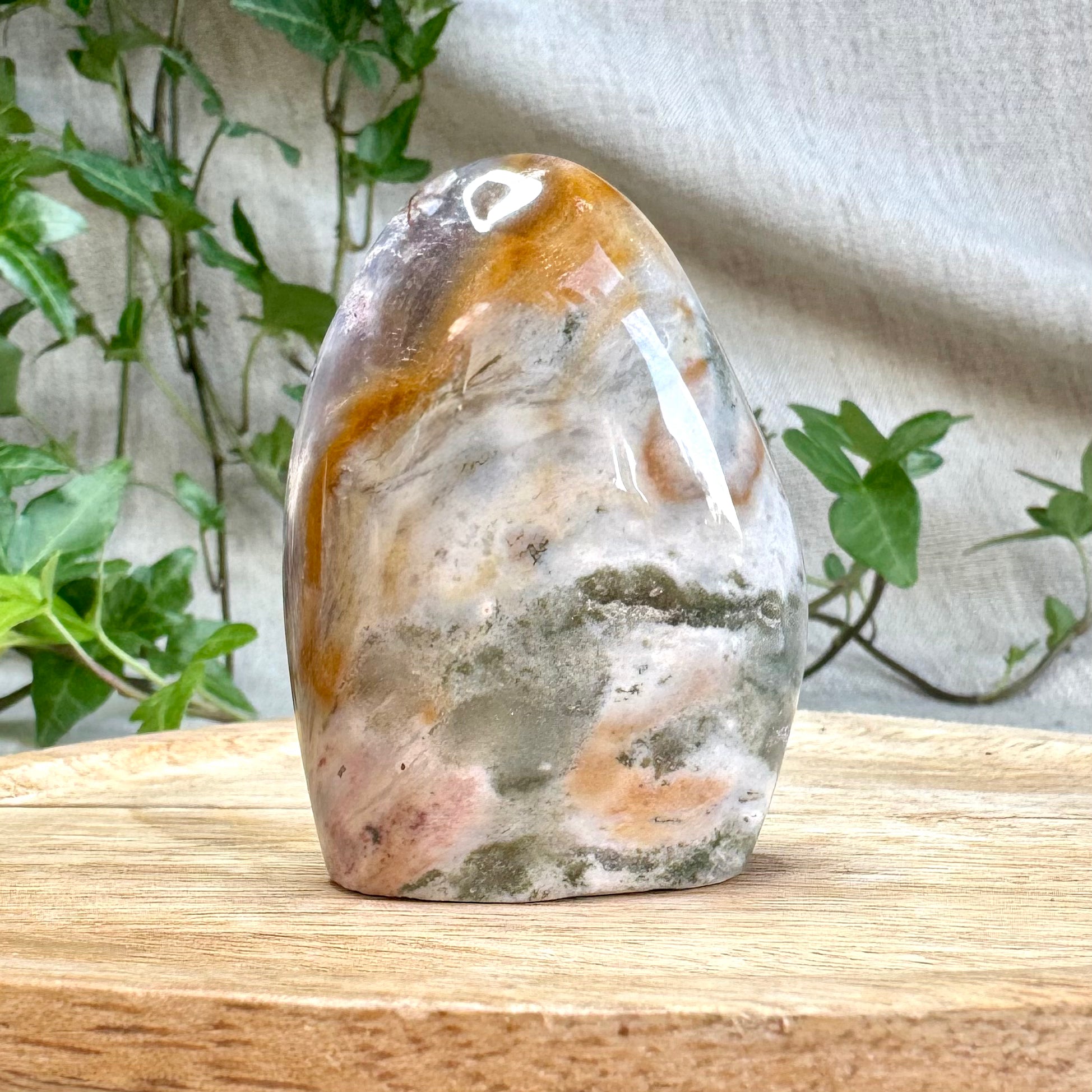 JASPE OCÉAN - AA+ - Madagascar