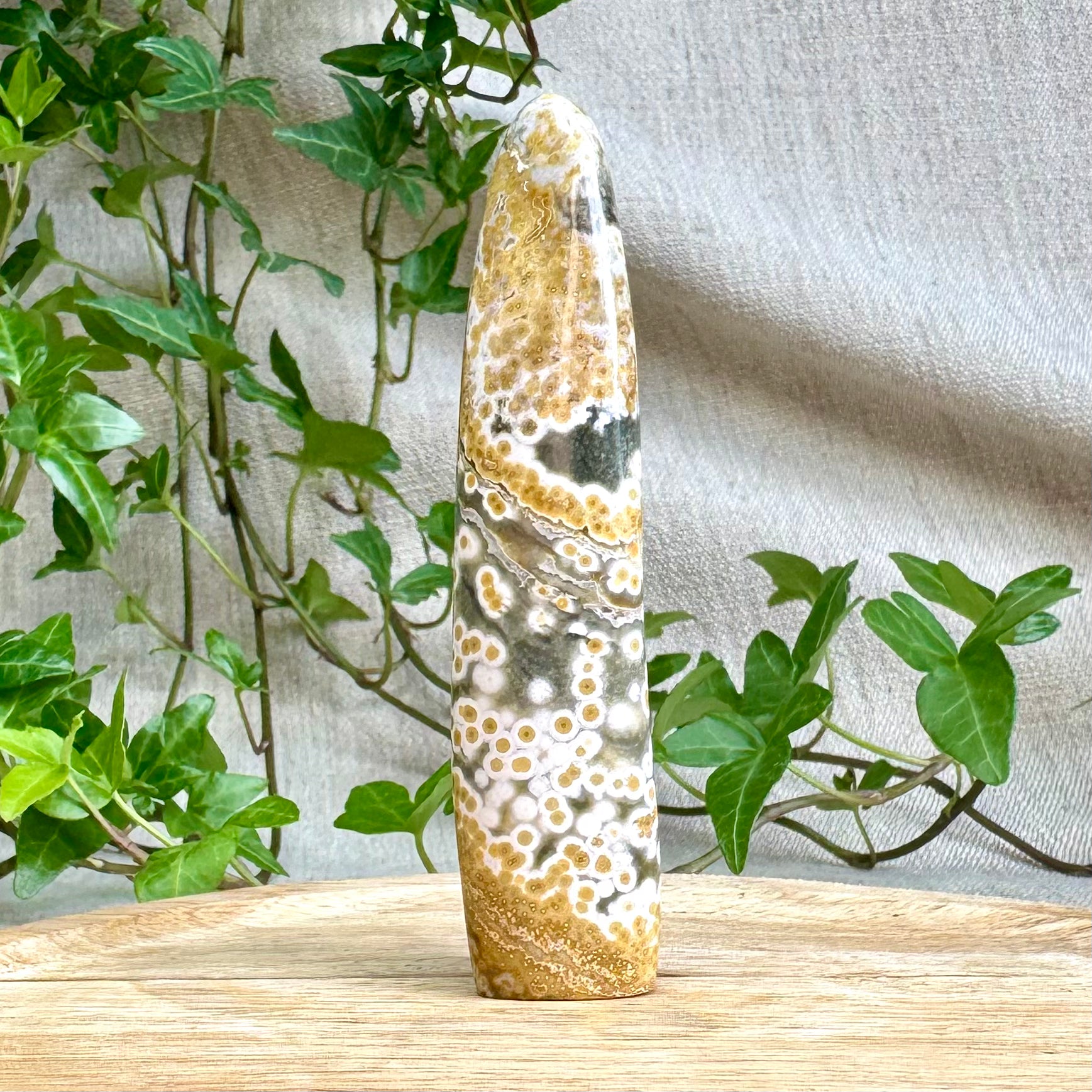 JASPE ORBICULAIRE - AA+ - Madagascar