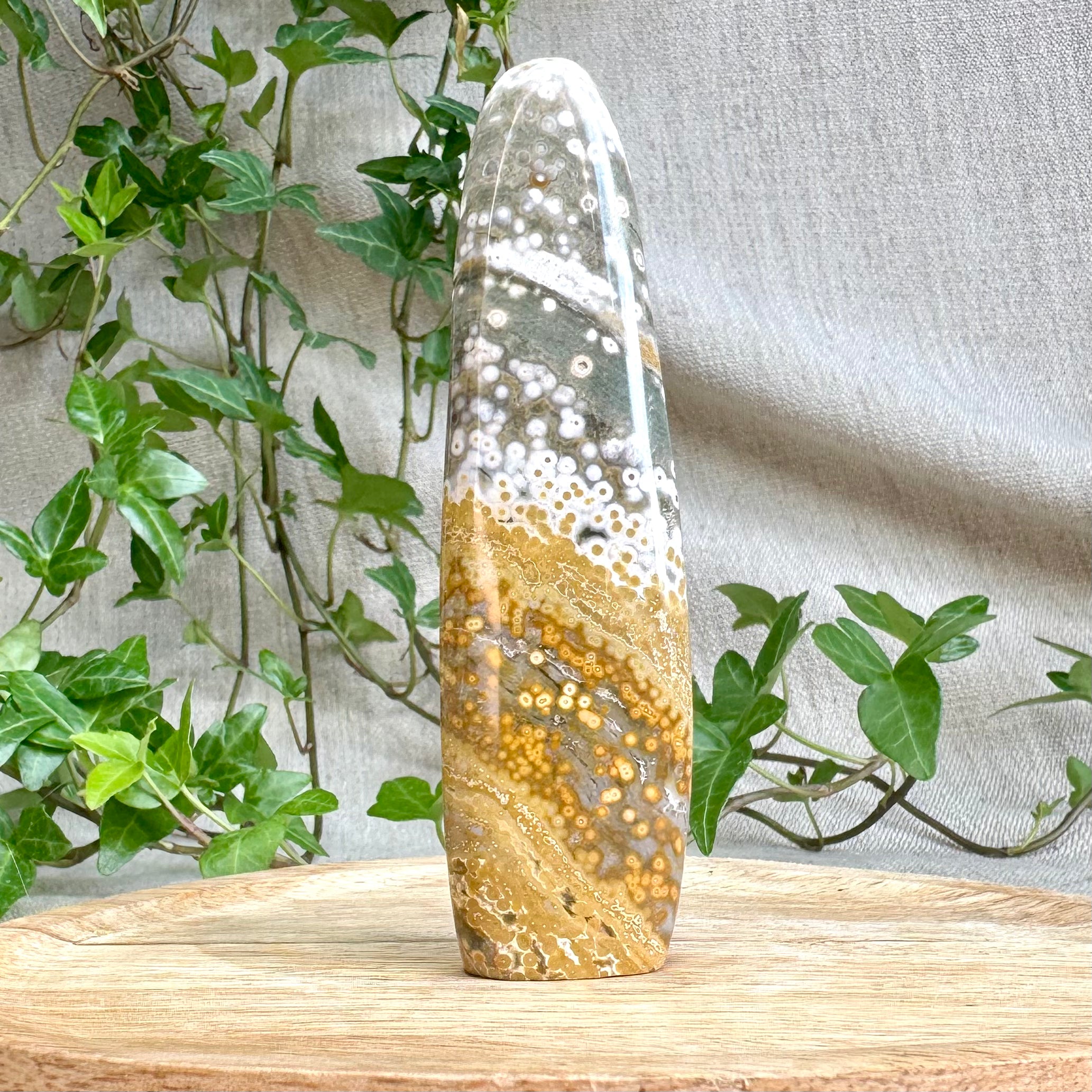 JASPE ORBICULAIRE - AA+ - Madagascar