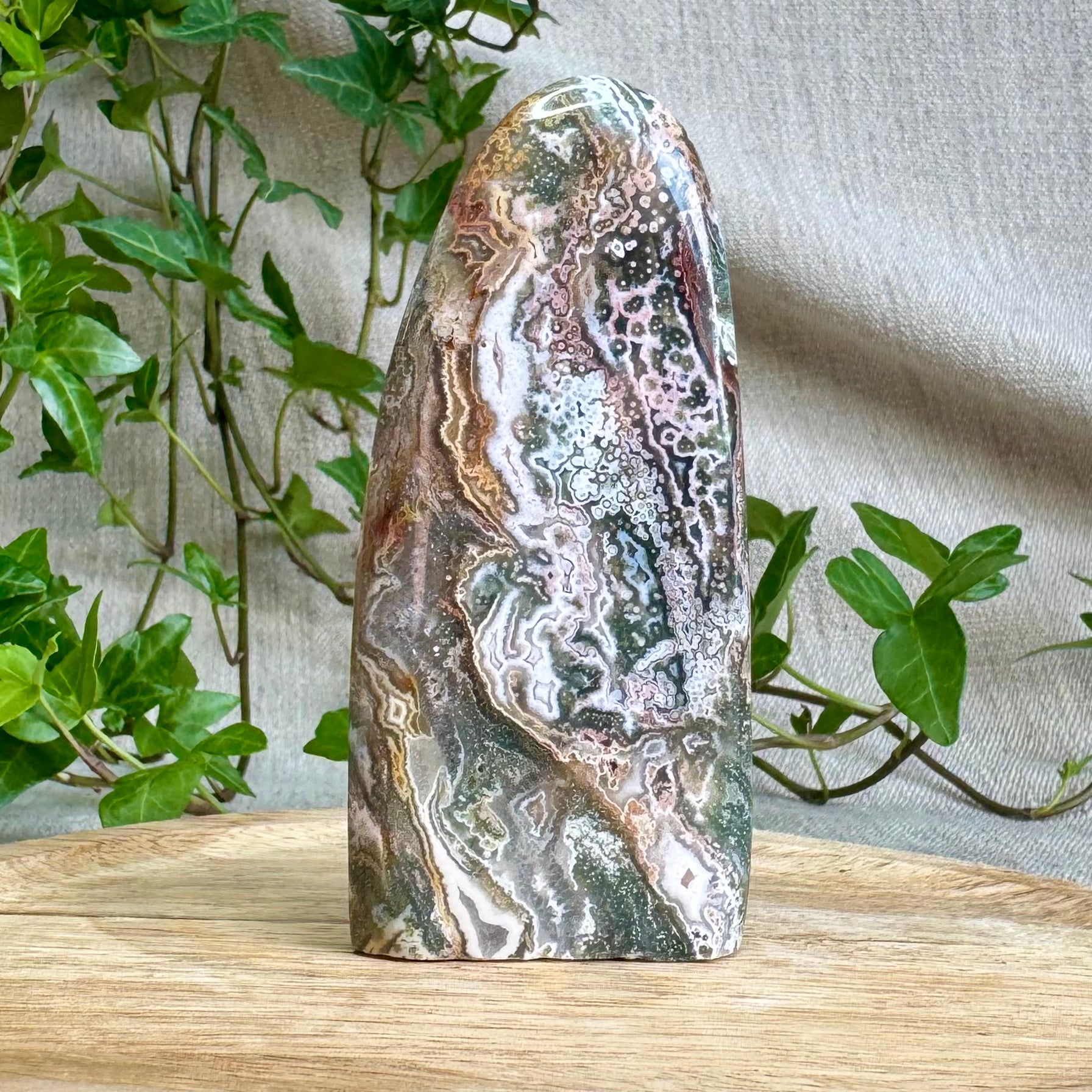 JASPE OCÉAN - AA+ - Madagascar