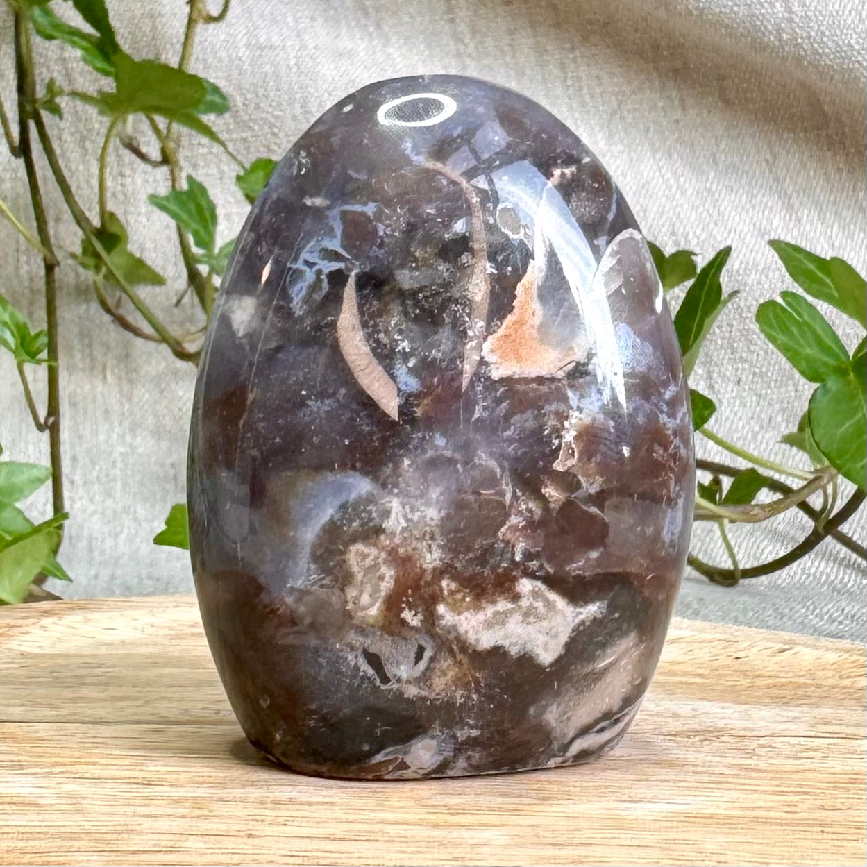 JASPE OCÉAN - AA+ - Madagascar