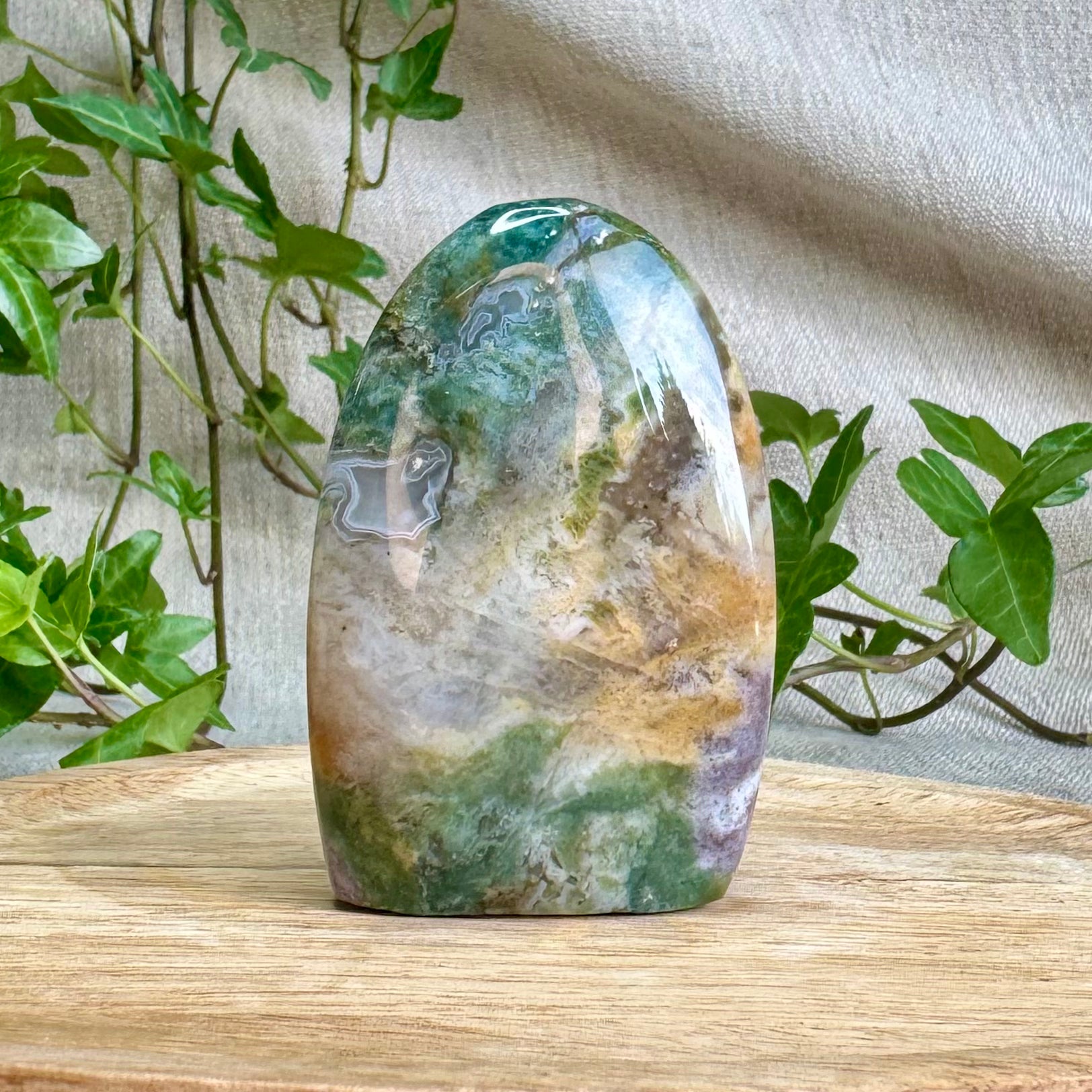 JASPE OCÉAN - AA+ - Madagascar