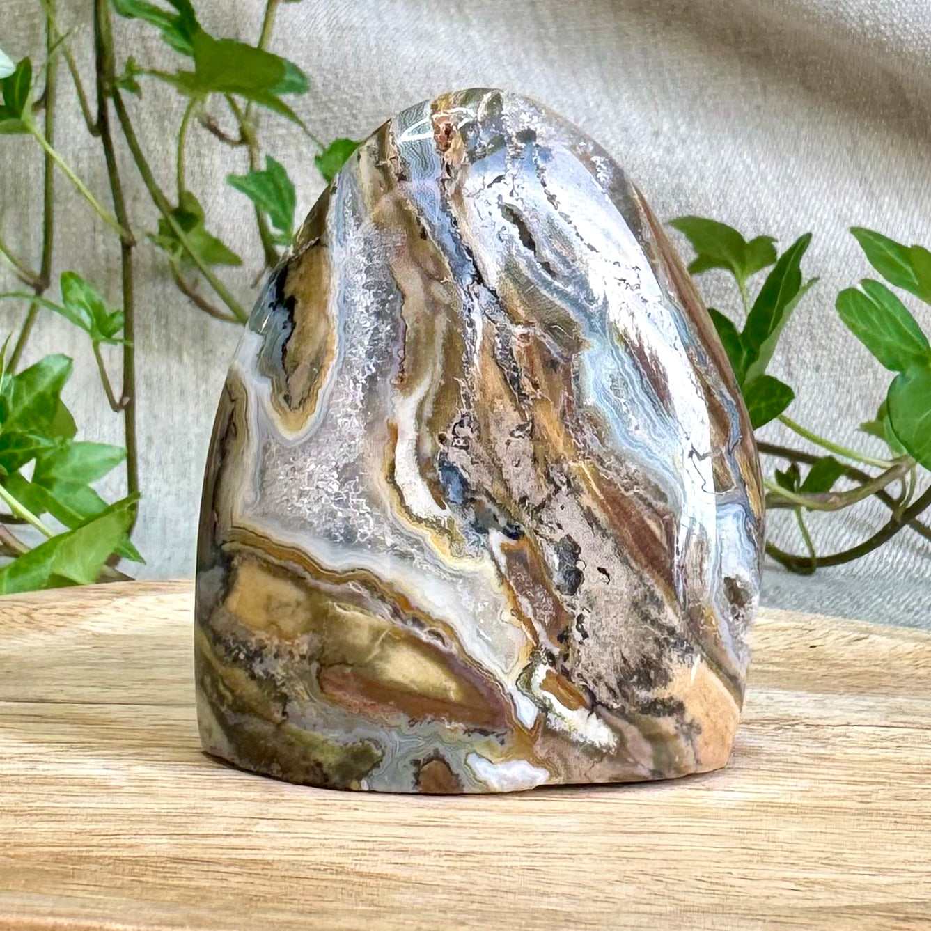 JASPE OCÉAN - AA+ - Madagascar