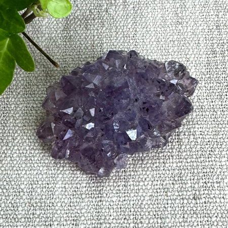 AMETHYSTE - Brésil