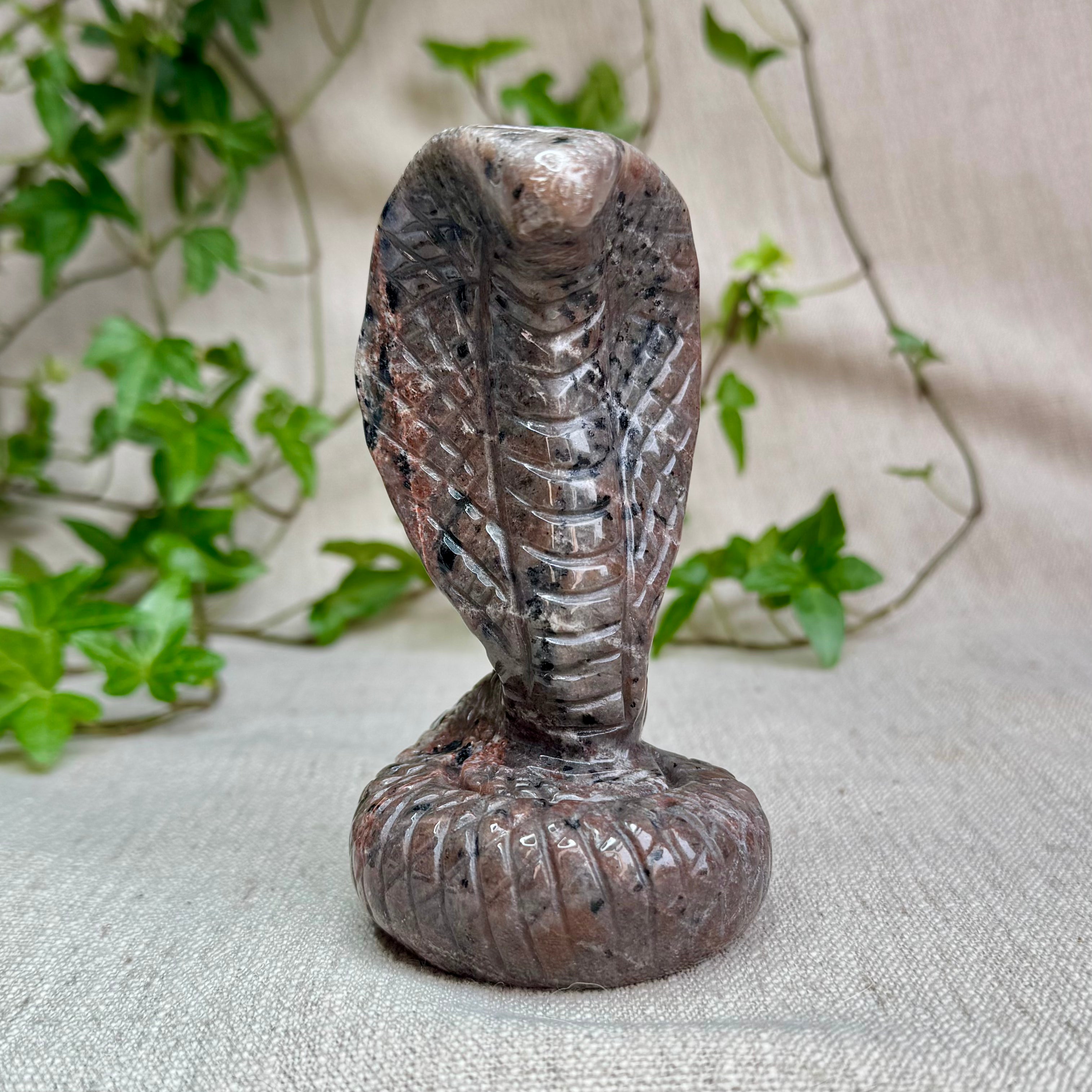 YOOPERLITE - AA - Russie - Cobra - UV Réactif