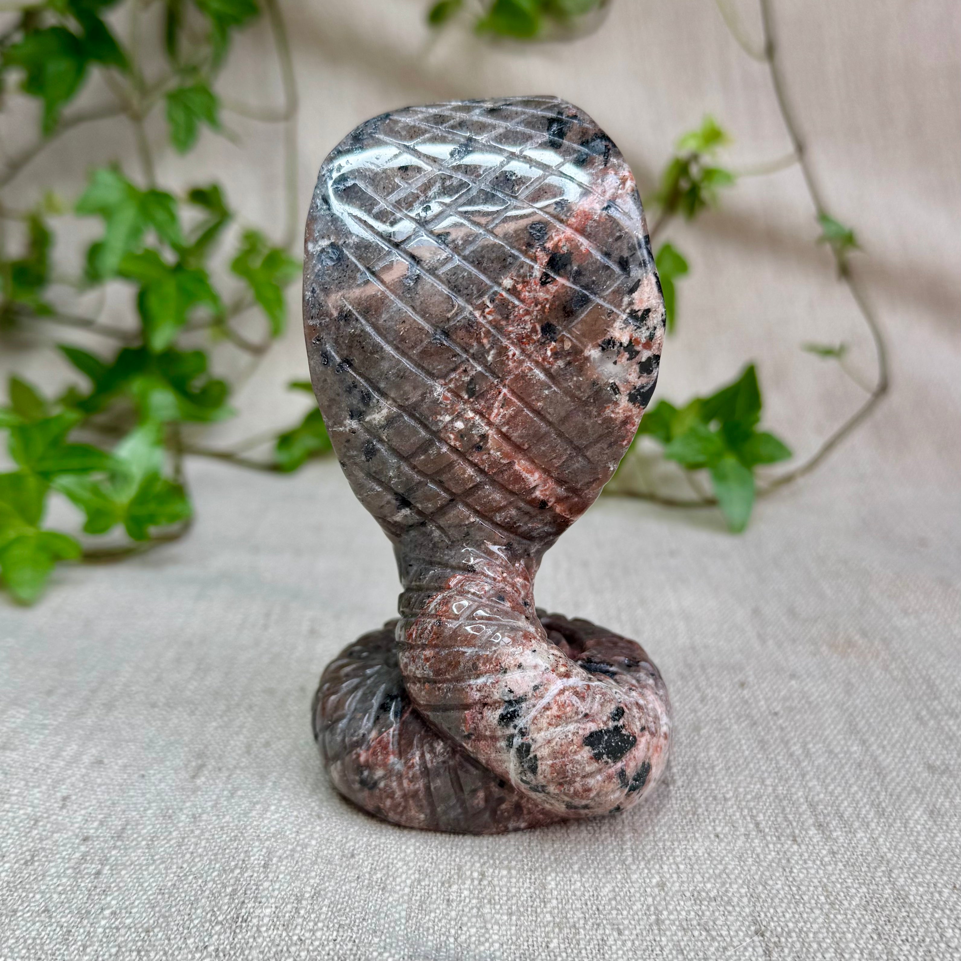 YOOPERLITE - AA - Russie - Cobra - UV Réactif