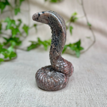 YOOPERLITE - AA - Russie - Cobra - UV Réactif