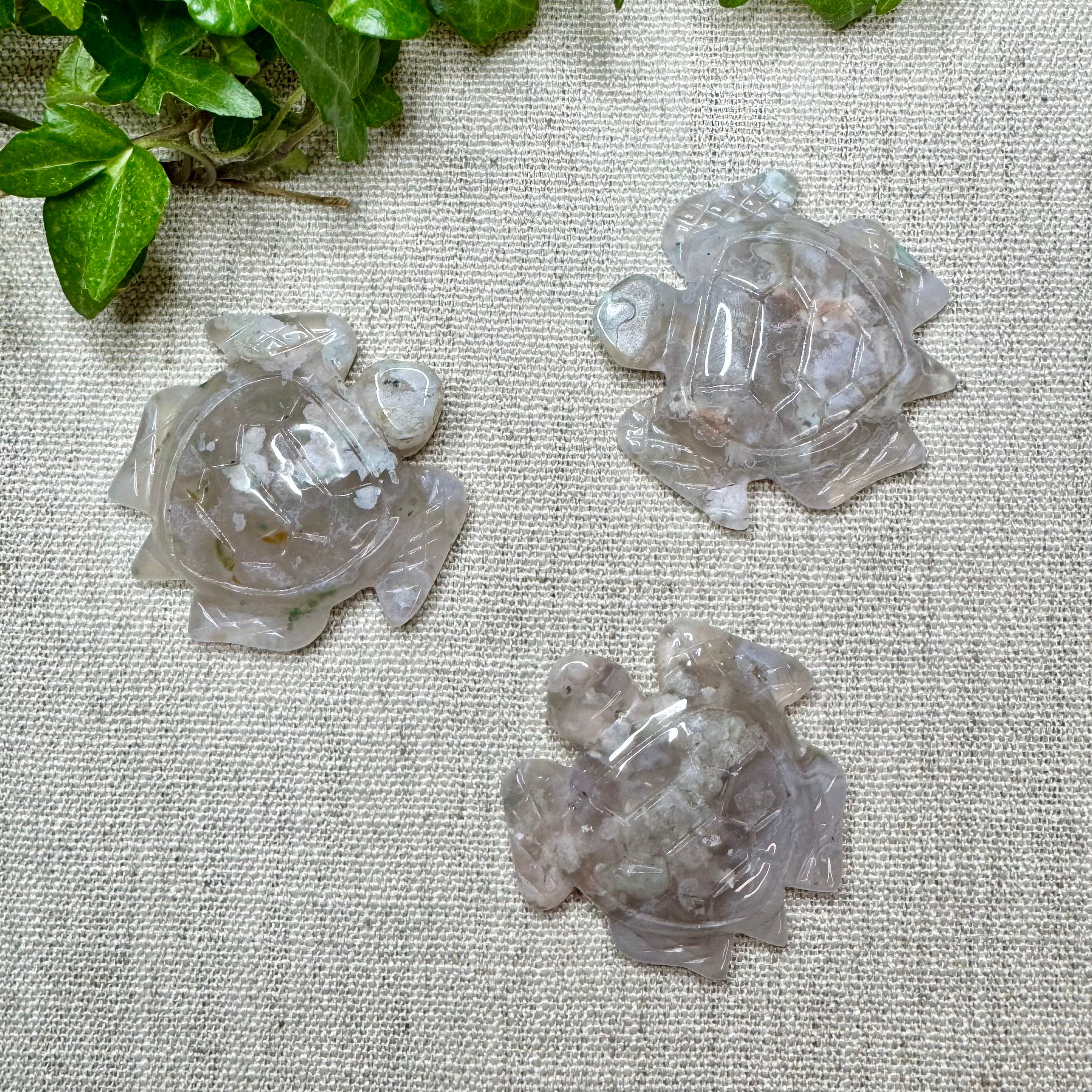 TORTUES AGATE FLEUR - Madagascar - 54x51 mm